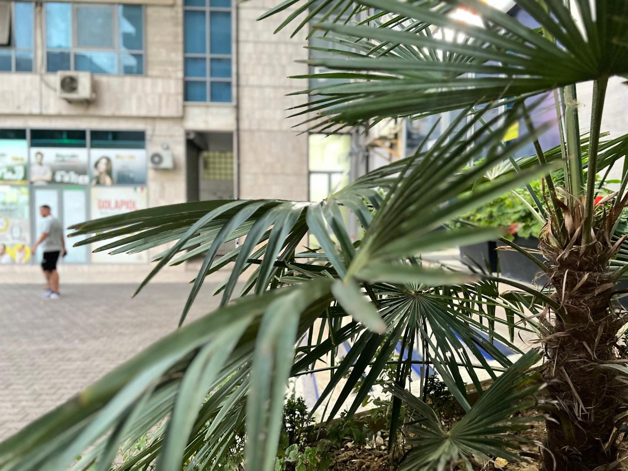 New Baazar Terrace Apartment Tirana Zewnętrze zdjęcie
